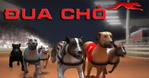 Cách Chơi Game Nhanh Đua Chó Tại WW88 Để Thắng Cược Dễ Dàng Hơn