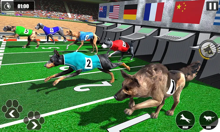 Cách Chơi Game Nhanh Đua Chó Tại WW88 Để Thắng Cược Dễ Dàng Hơn